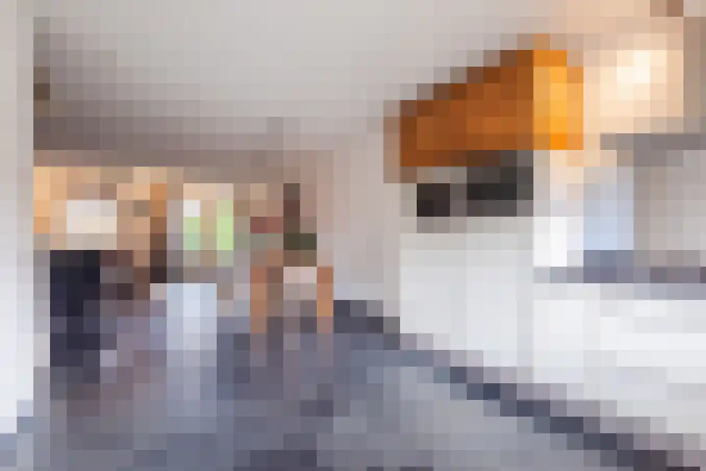 Musicaldreef 76 Harderwijk thumbnail 16