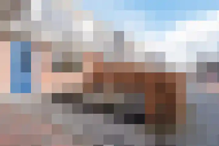 Musicaldreef 76 Harderwijk thumbnail 38