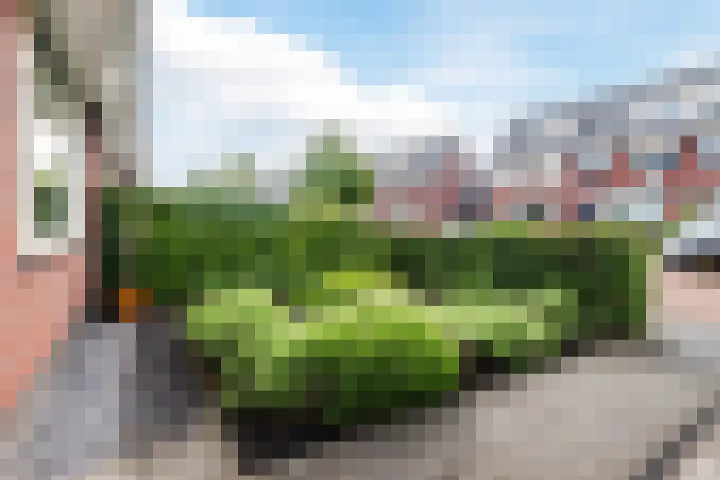 Musicaldreef 76 Harderwijk thumbnail 39