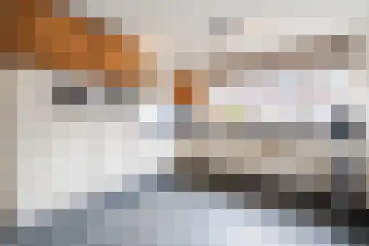 Musicaldreef 76 Harderwijk thumbnail 6