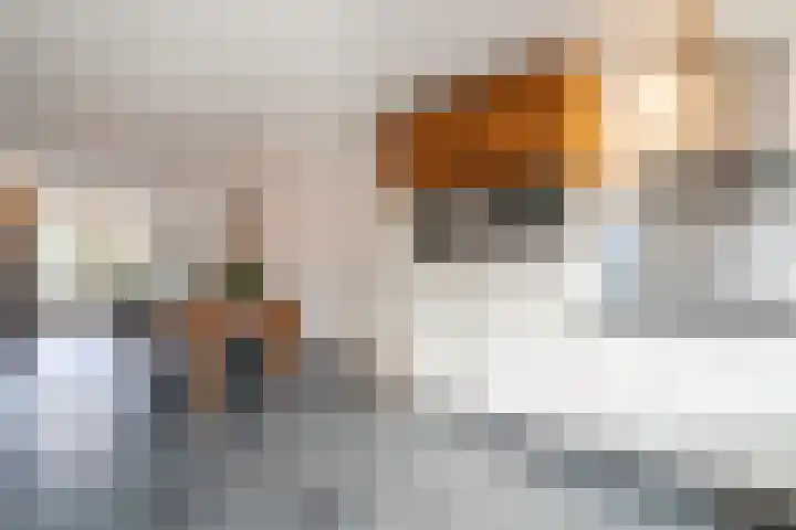 Musicaldreef 76 Harderwijk thumbnail 7