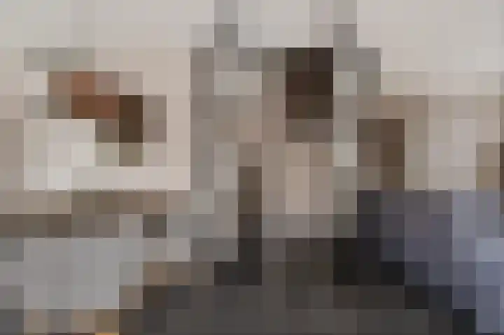 Musicaldreef 86 Harderwijk thumbnail 19