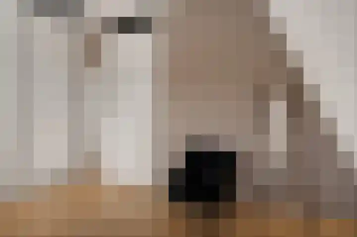 Musicaldreef 86 Harderwijk thumbnail 24