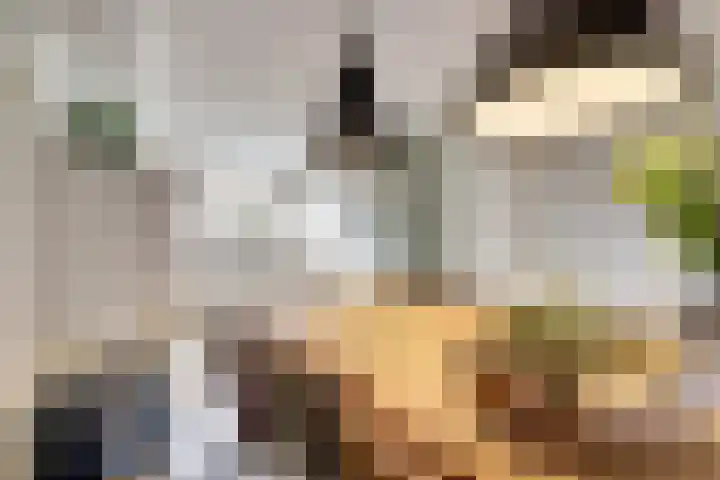 Musicaldreef 90 Harderwijk thumbnail 13