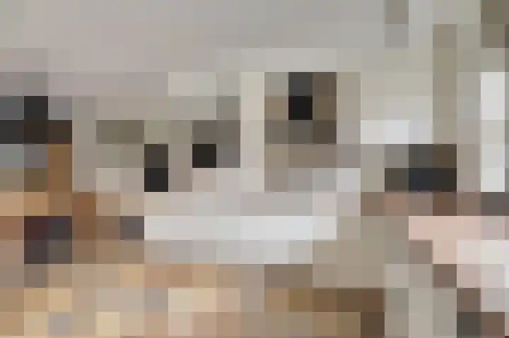 Musicaldreef 90 Harderwijk thumbnail 14