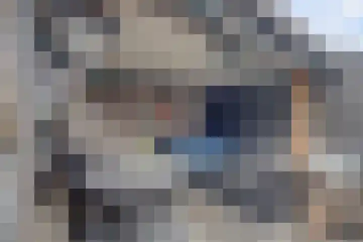 Musicaldreef 90 Harderwijk thumbnail 30