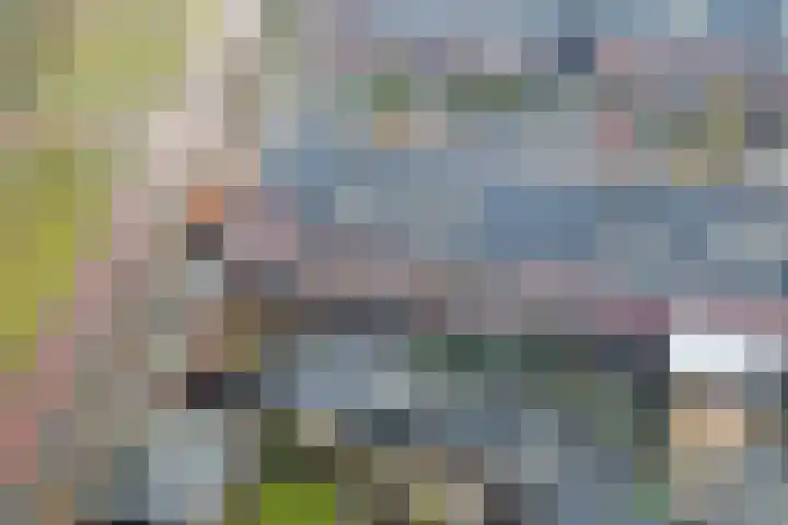 Musicaldreef 90 Harderwijk thumbnail 38