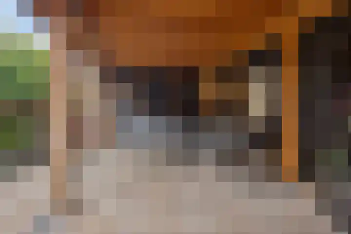 Musicalstraat 66 Apeldoorn thumbnail 30