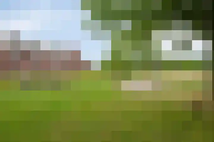 Musicalstraat 66 Apeldoorn thumbnail 40
