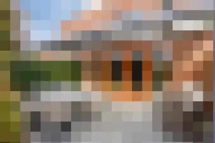Musicalstraat 90 Apeldoorn thumbnail 30