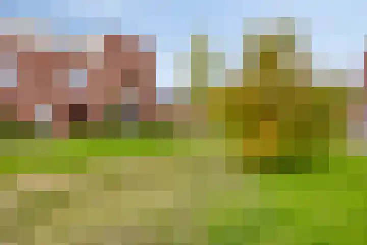 Musicalstraat 90 Apeldoorn thumbnail 35