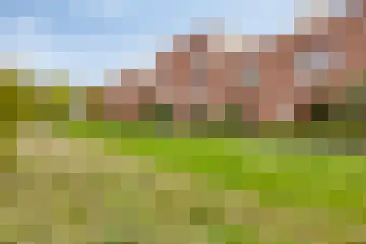 Musicalstraat 90 Apeldoorn thumbnail 36