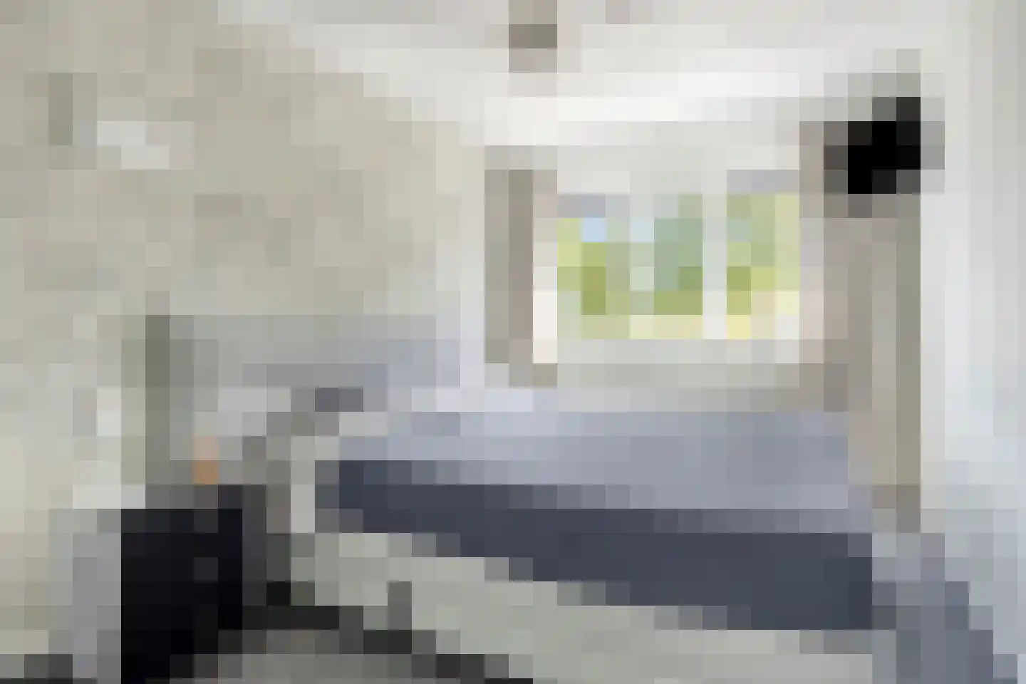 Muskaat 25 De Lier thumbnail 16