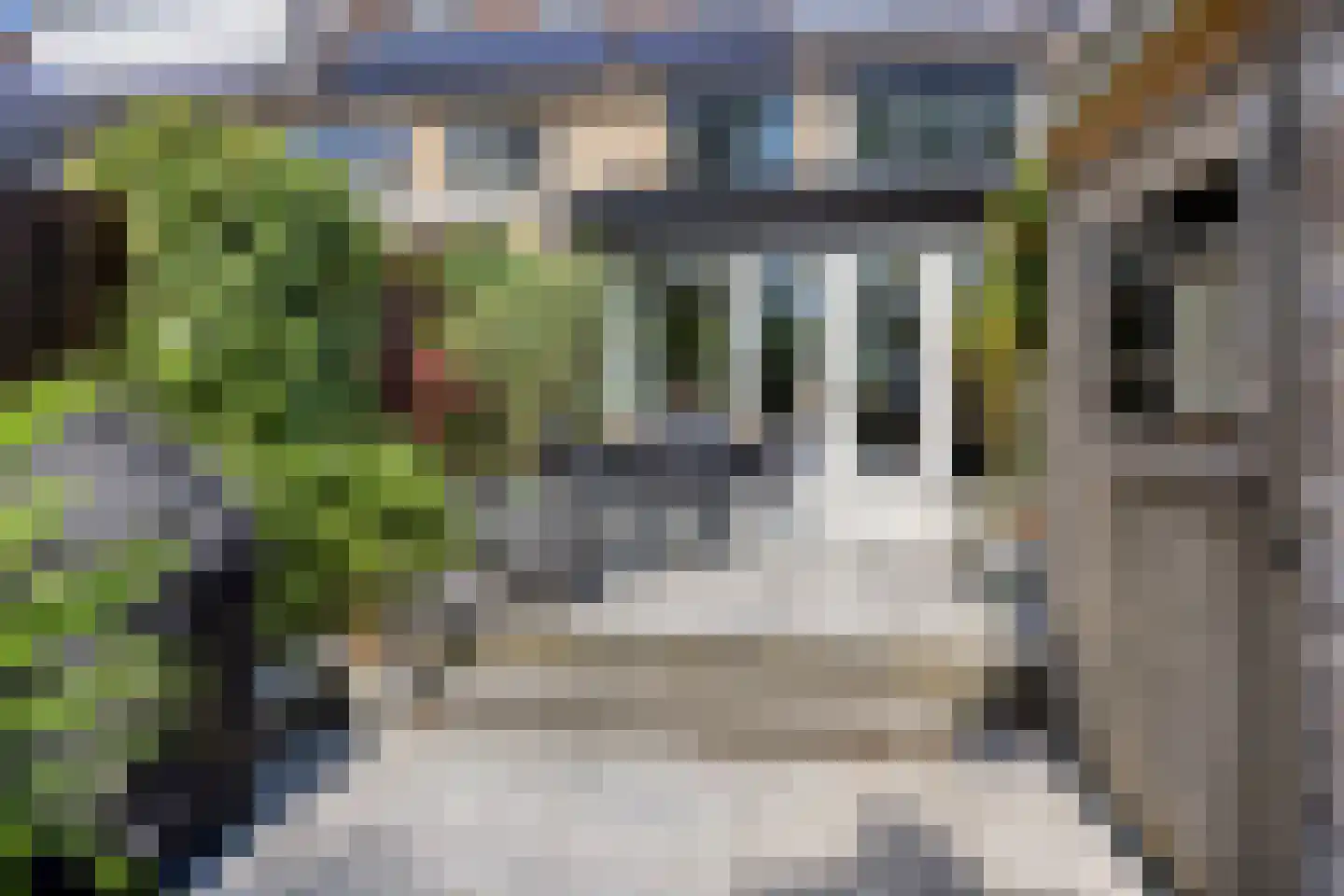 Muskaat 25 De Lier thumbnail 31