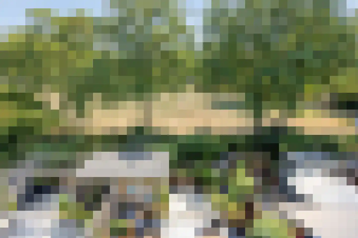 Muskaat 25 De Lier thumbnail 33