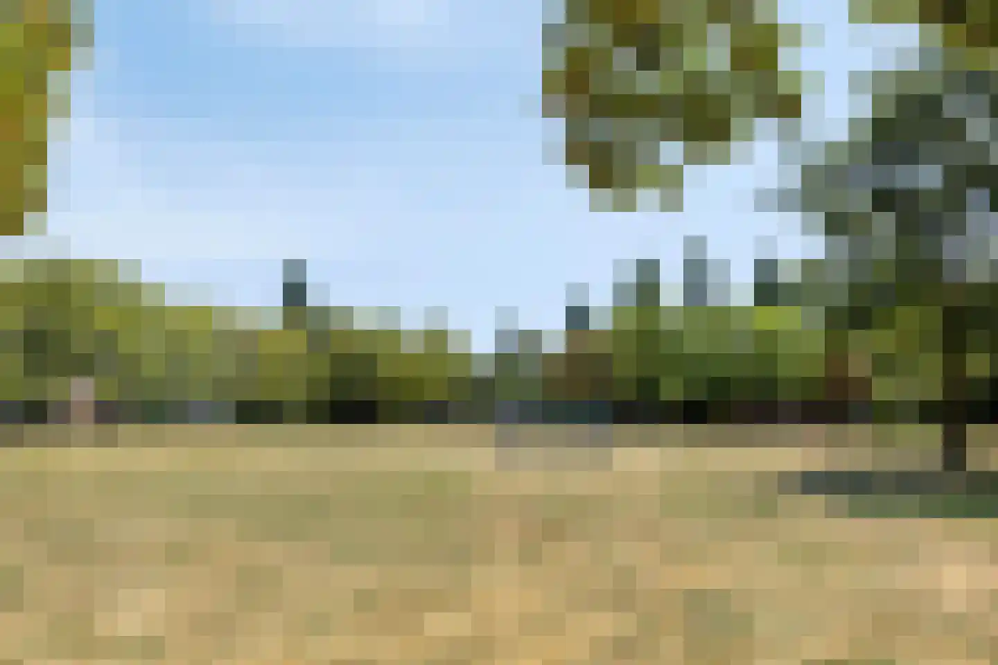Muskaat 25 De Lier thumbnail 34
