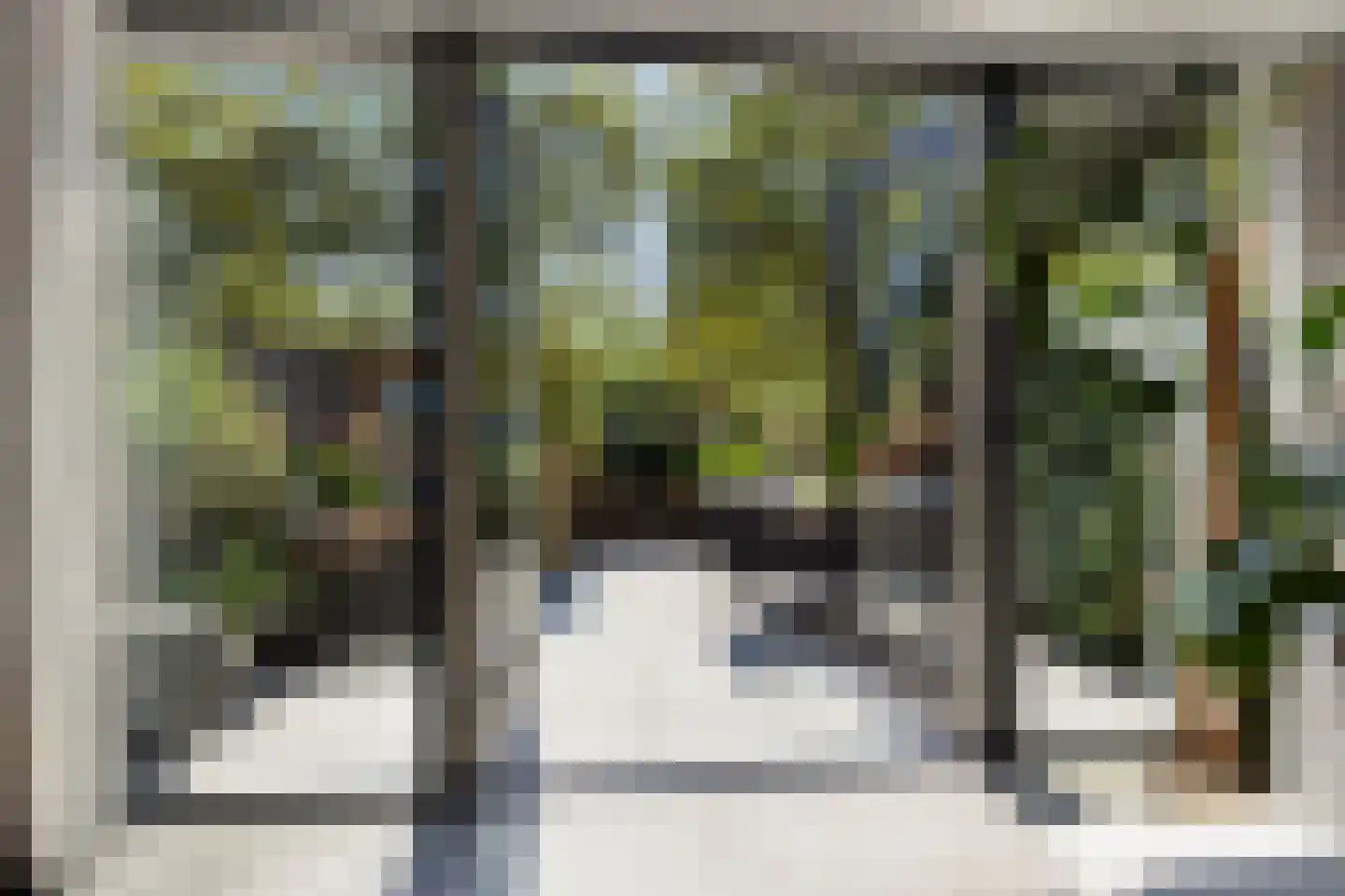 Muskaat 25 De Lier thumbnail 9