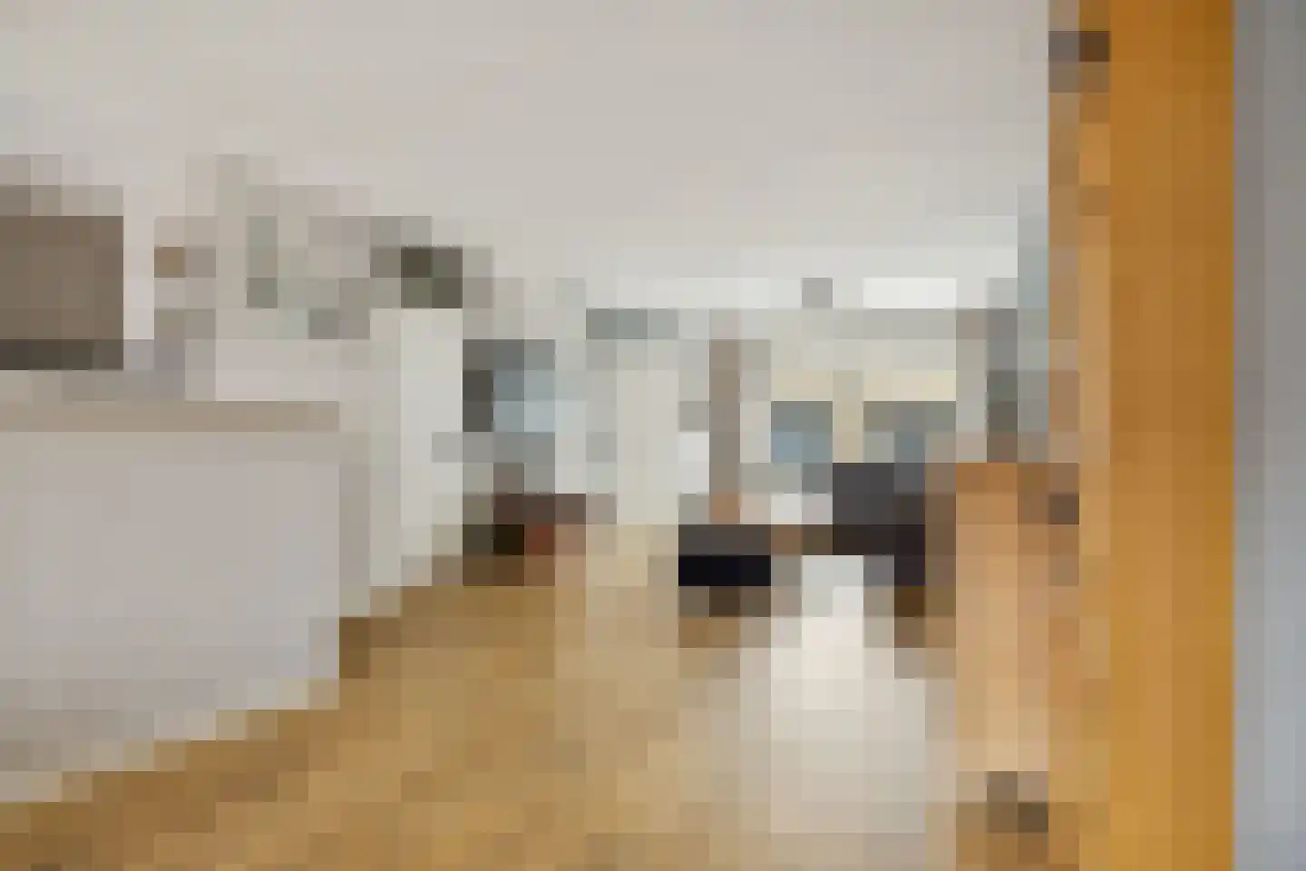 Muskaat 30 De Lier thumbnail 12