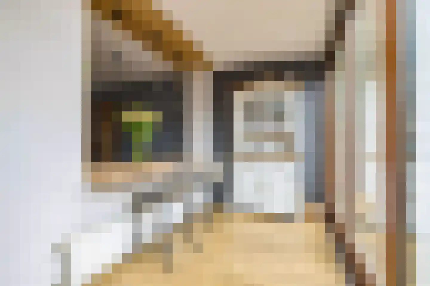 Muskaat 30 De Lier thumbnail 15