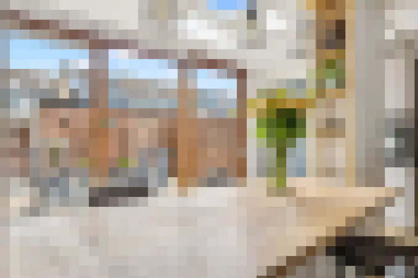 Muskaat 30 De Lier foto 2