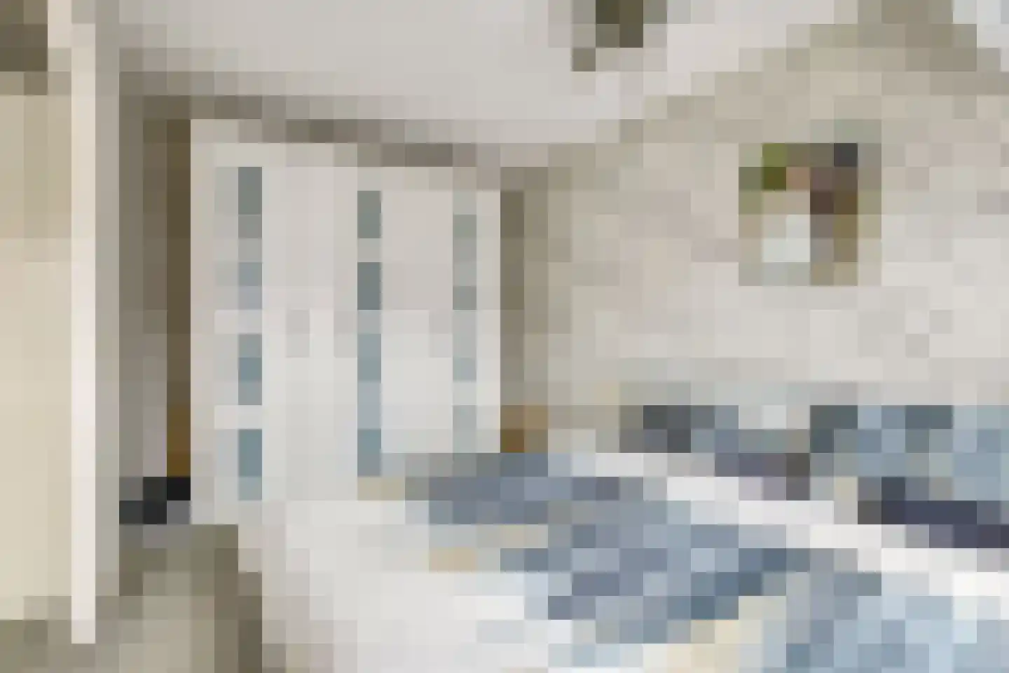 Muskaat 30 De Lier thumbnail 24