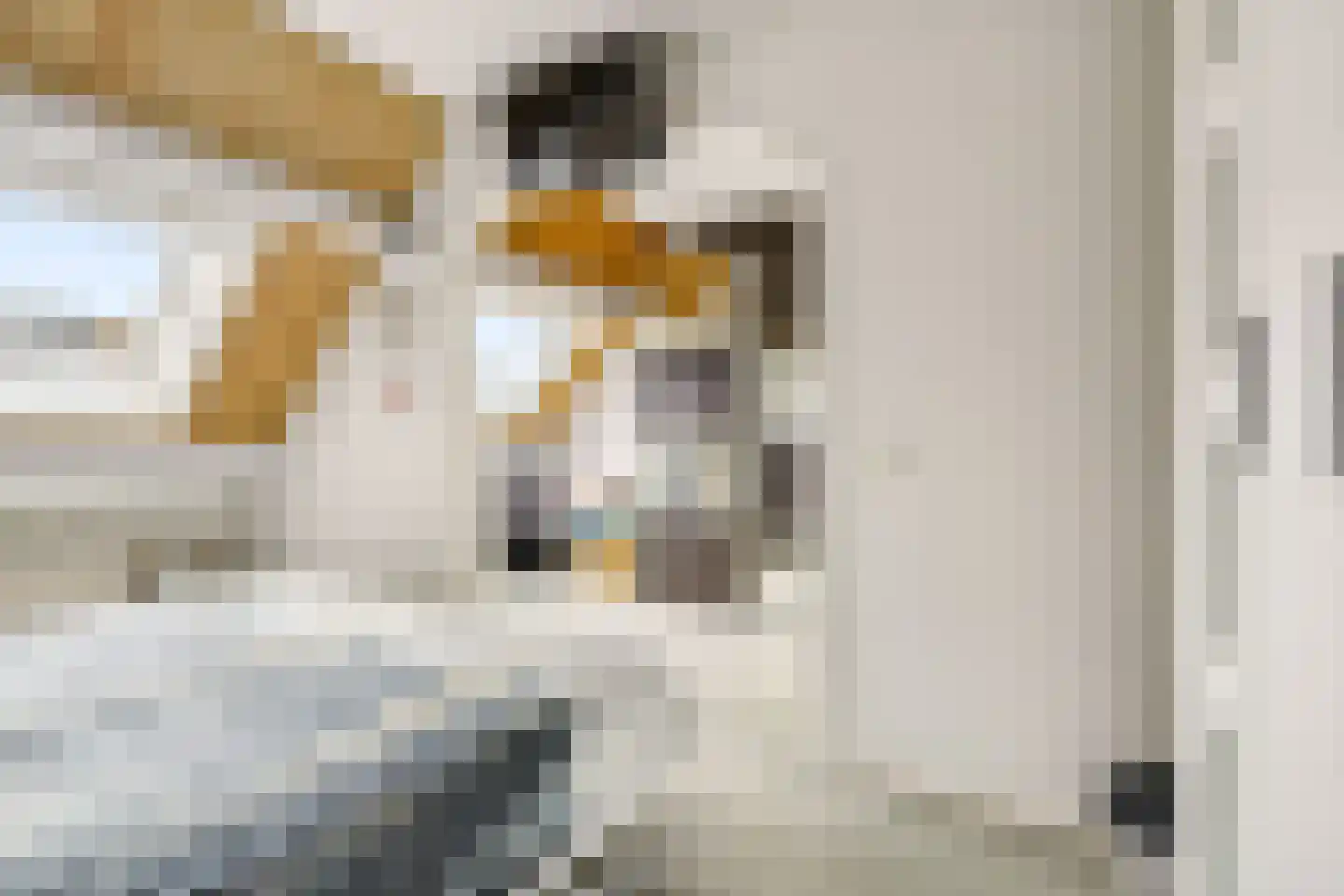 Muskaat 30 De Lier thumbnail 25