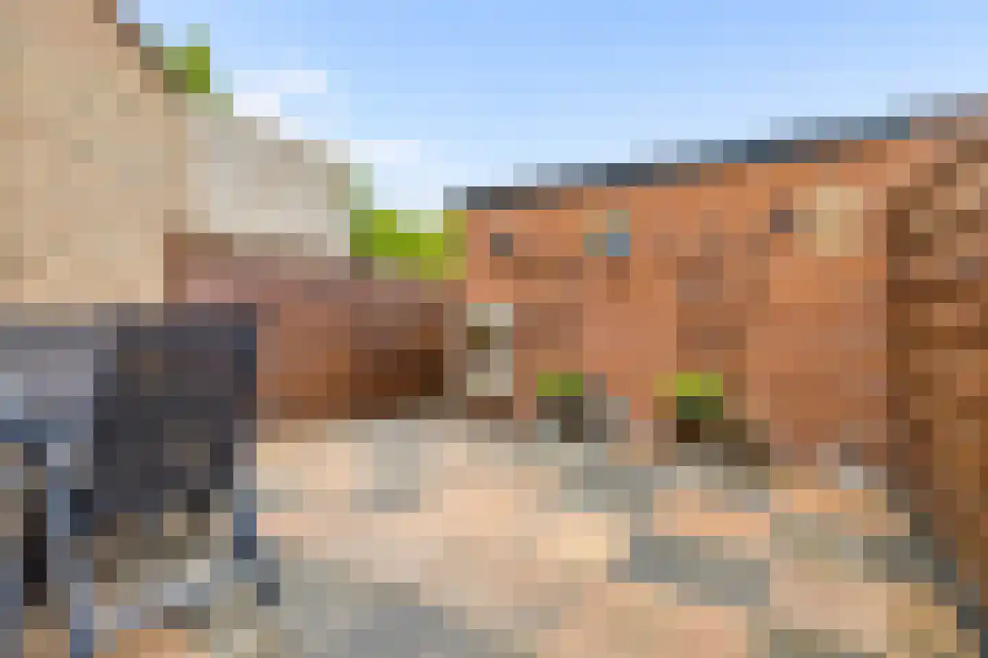 Muskaat 30 De Lier thumbnail 30