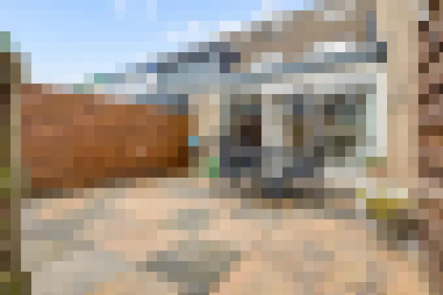 Muskaat 30 De Lier thumbnail 31