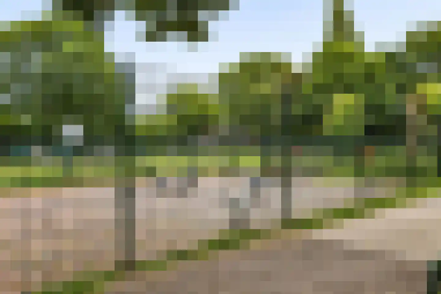 Muskaat 30 De Lier thumbnail 34