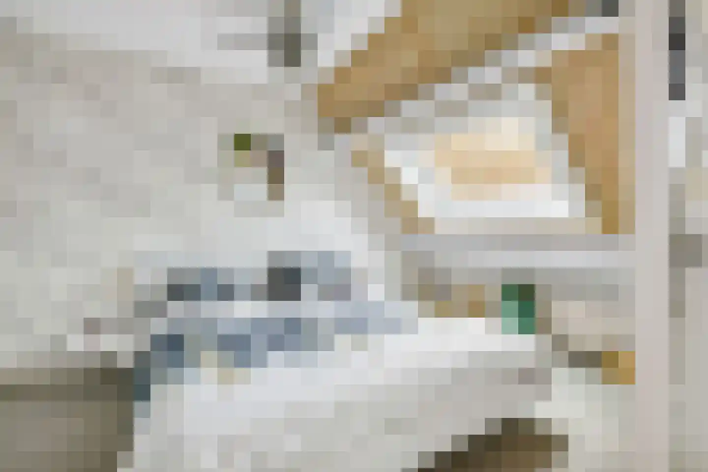 Muskaat 30 De Lier thumbnail 4