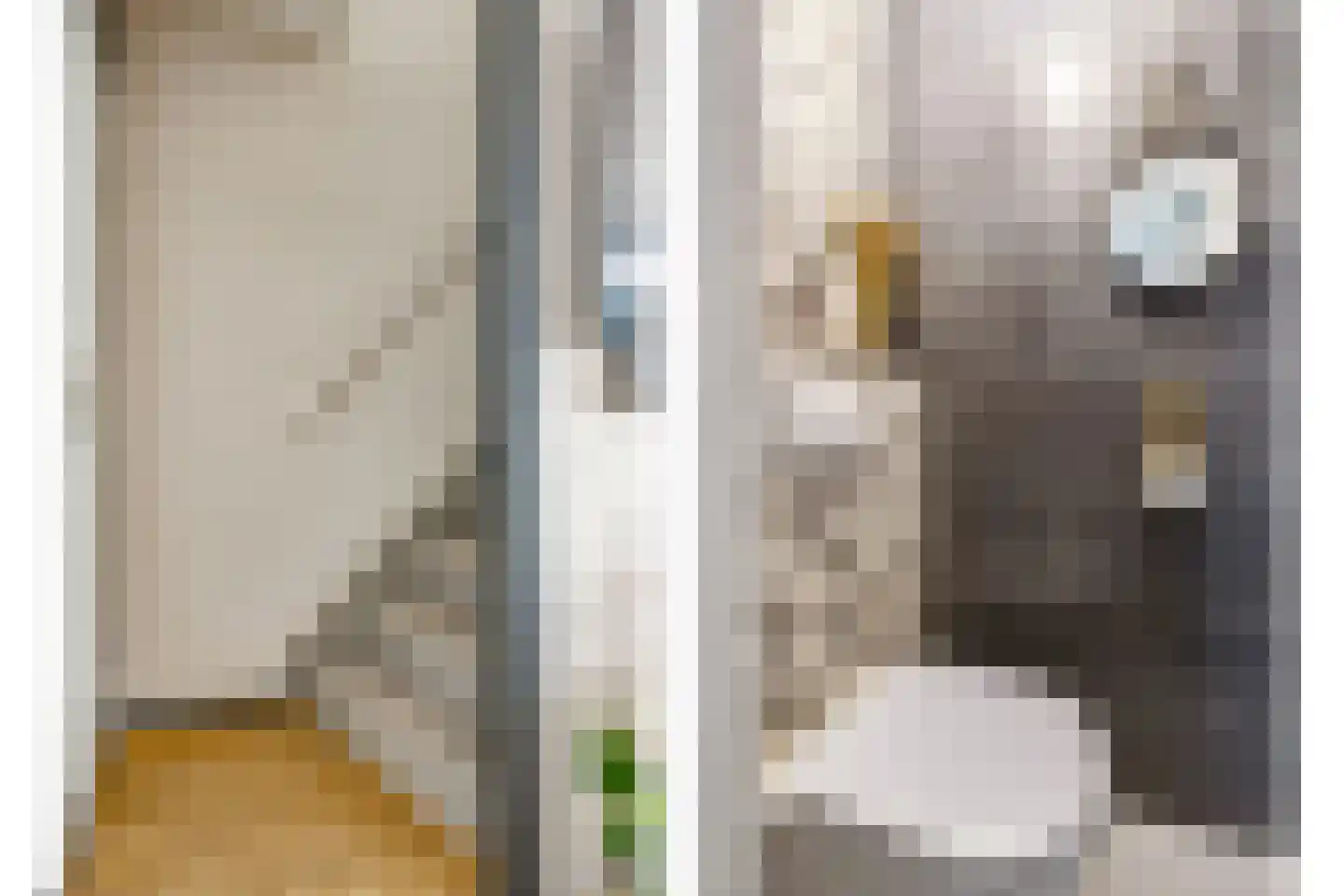 Muskaat 30 De Lier thumbnail 7