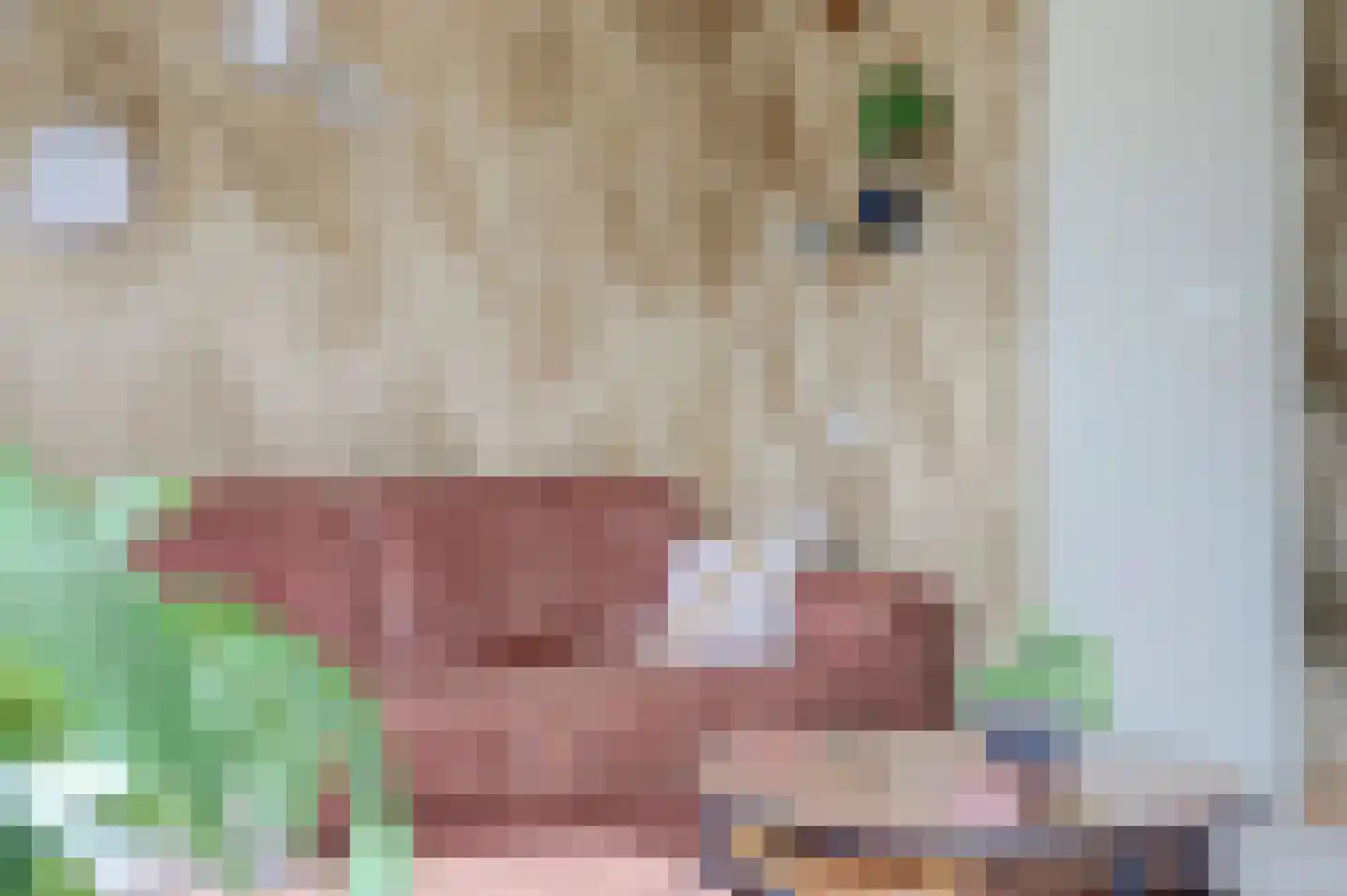 Muskaat 87 De Lier thumbnail 16
