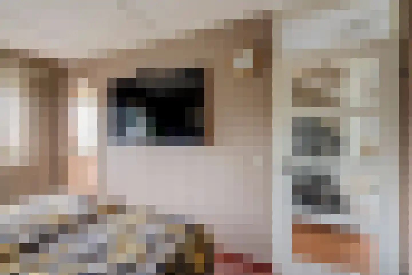 Muskaat 87 De Lier thumbnail 27