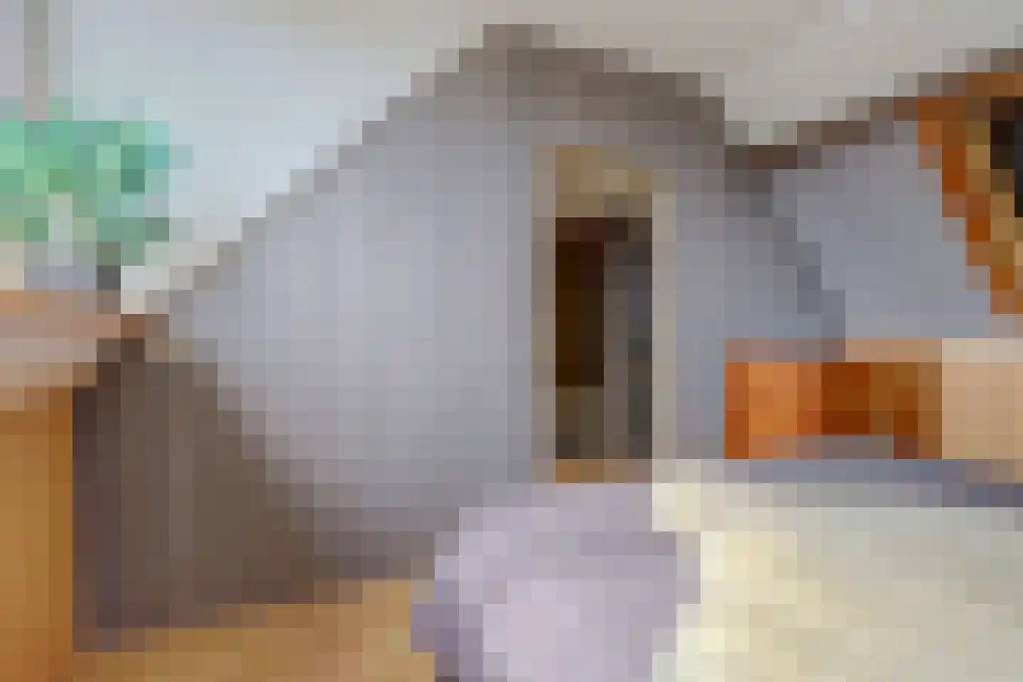 Muskaat 87 De Lier thumbnail 31