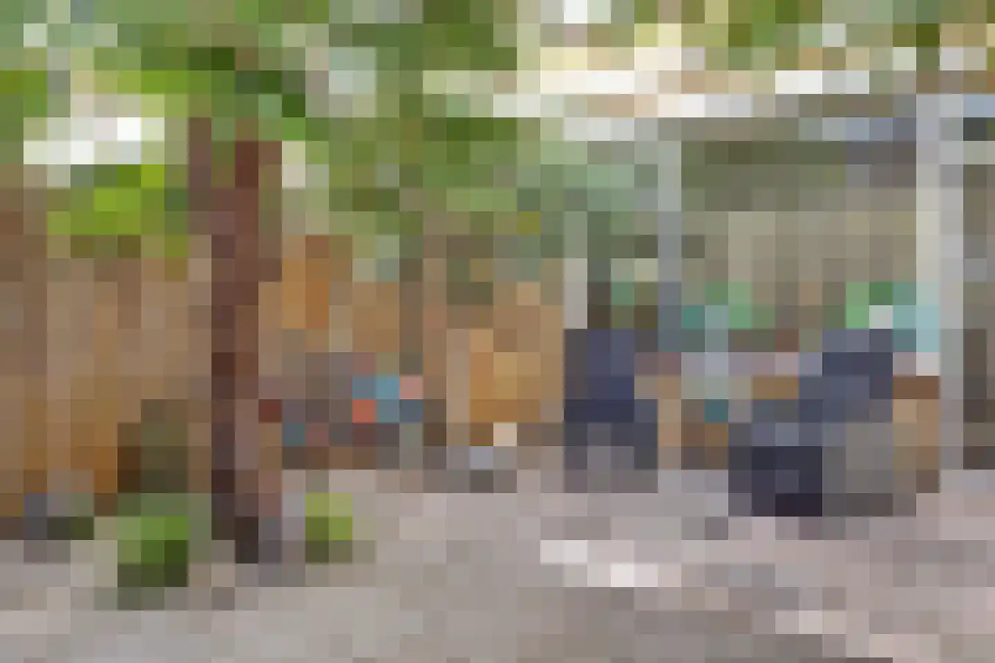 Muskaat 87 De Lier thumbnail 45