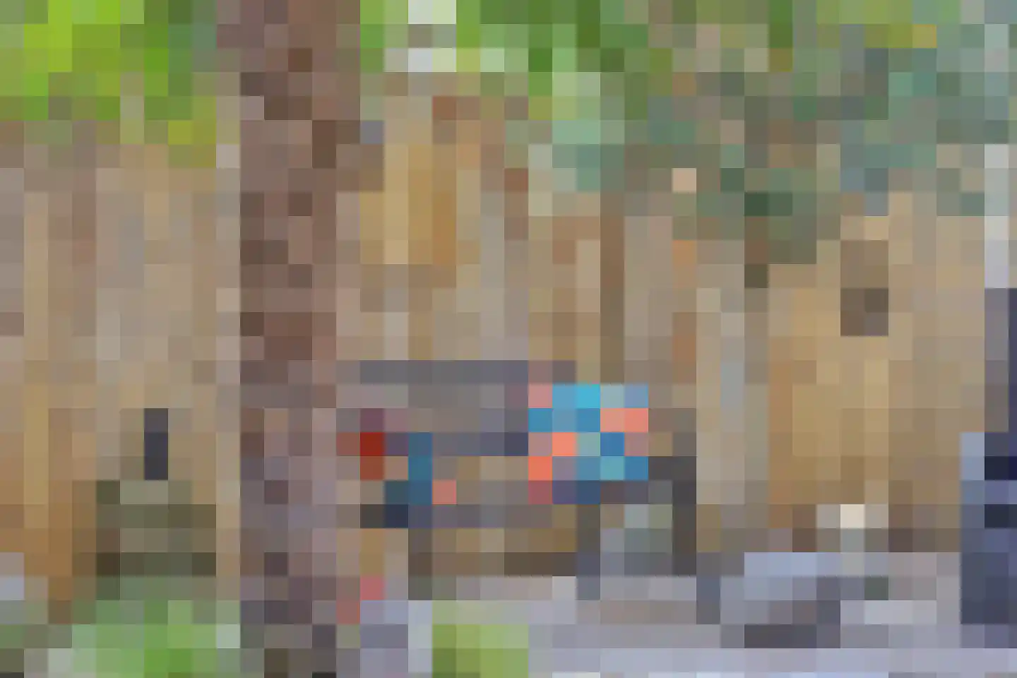 Muskaat 87 De Lier thumbnail 46