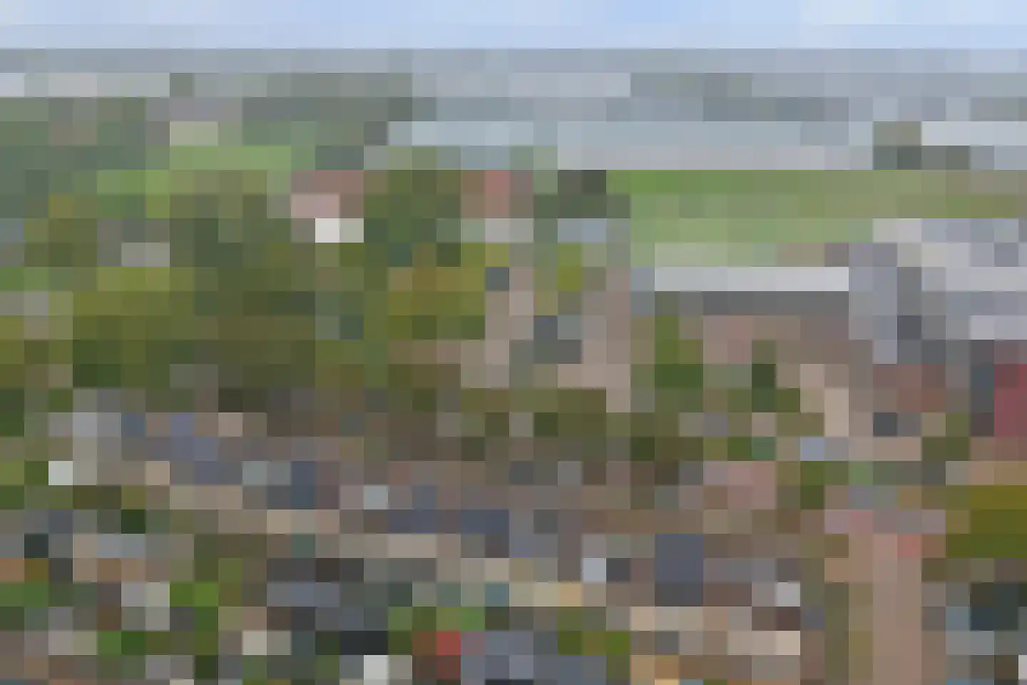 Muskaat 87 De Lier thumbnail 52