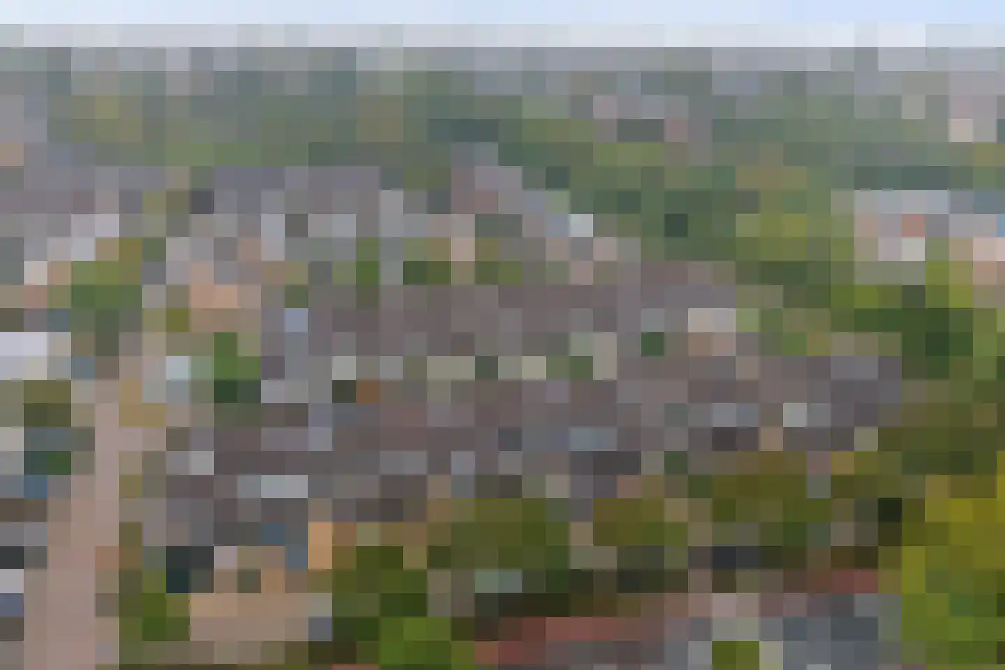 Muskaat 87 De Lier thumbnail 53