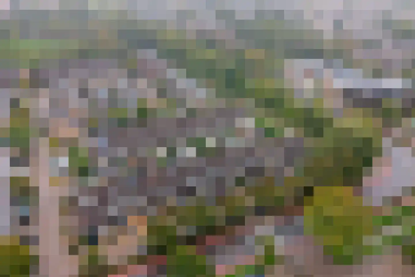 Muskaat 87 De Lier thumbnail 55