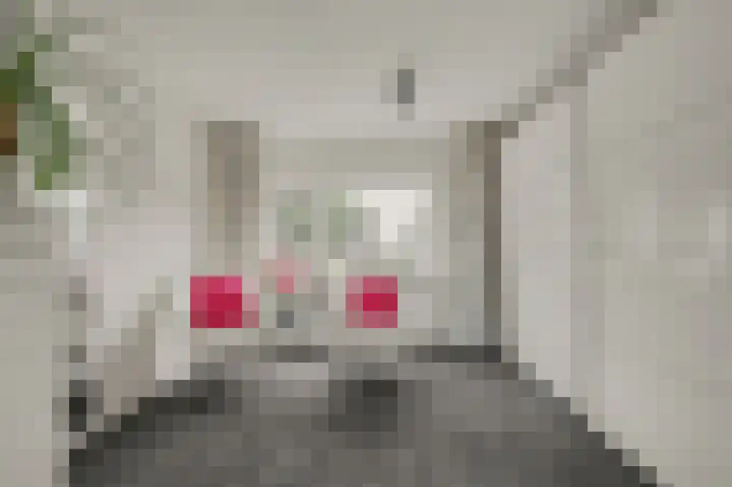 Muskaatstraat 1 Naaldwijk thumbnail 19