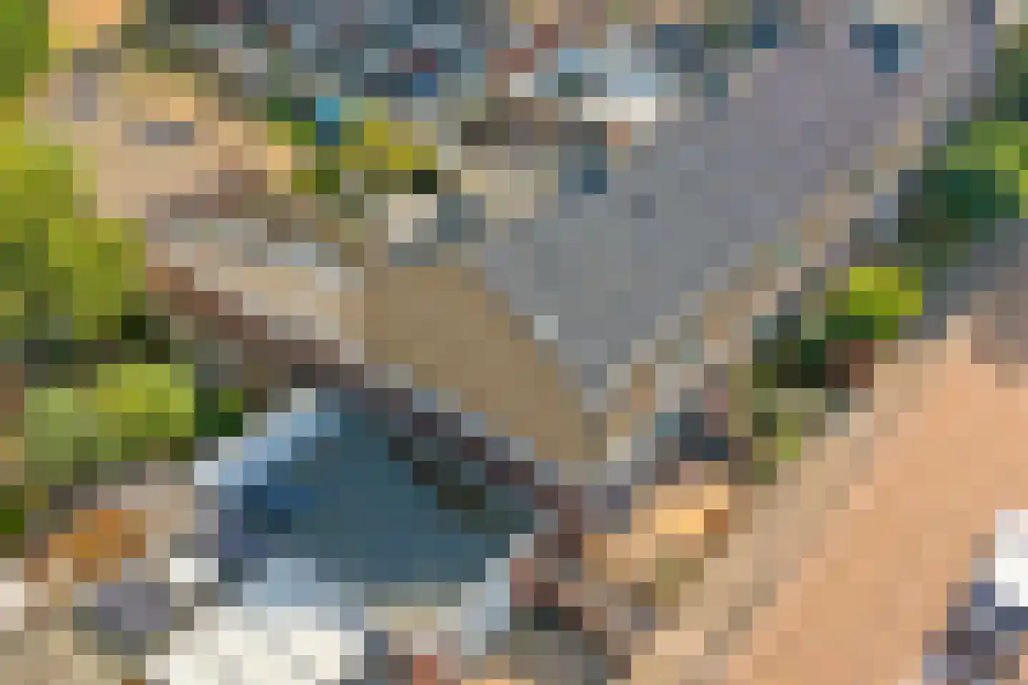 Muskaatstraat 1 Naaldwijk thumbnail 35