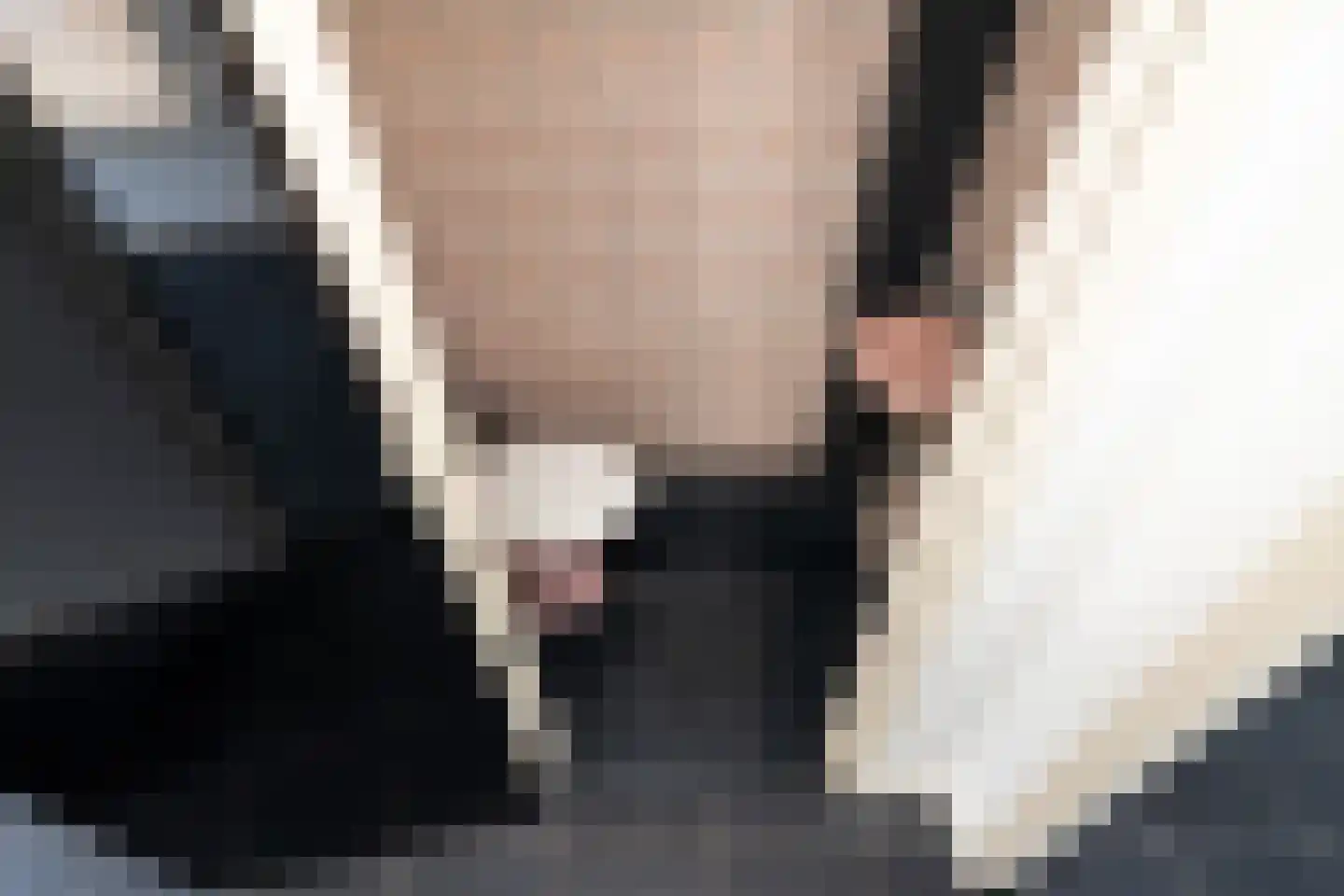 Muskaatstraat 2 Naaldwijk thumbnail 16