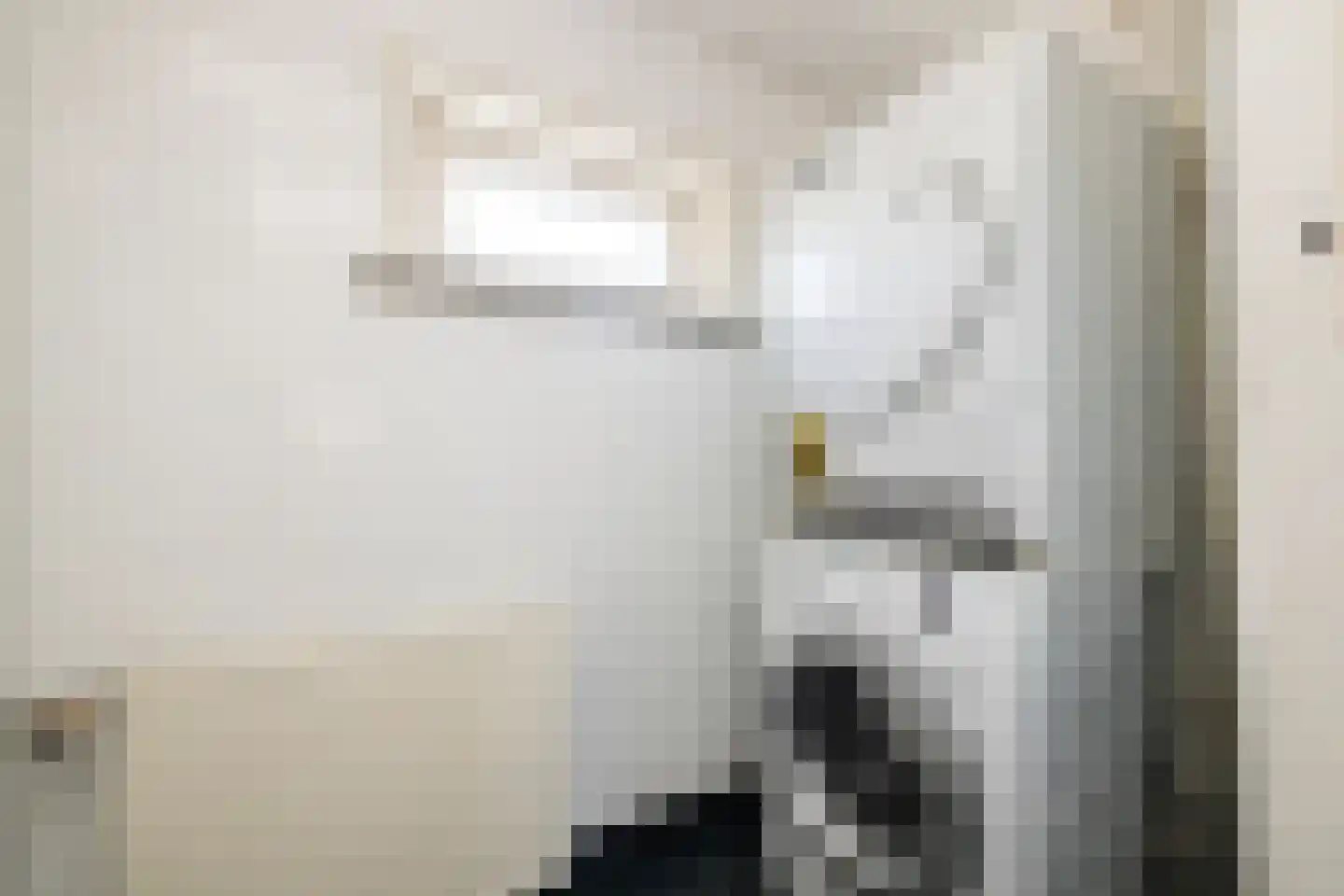 Muskaatstraat 2 Naaldwijk thumbnail 20