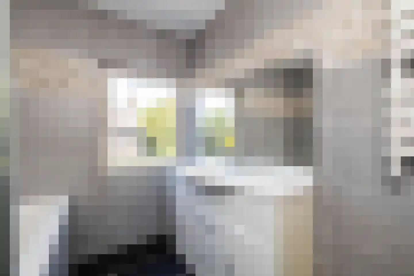 Muskaatstraat 2 Naaldwijk thumbnail 24