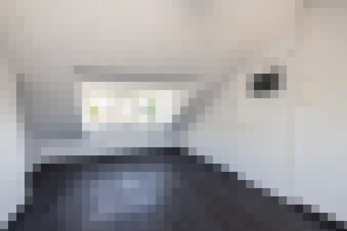 Muskaatstraat 2 Naaldwijk thumbnail 29