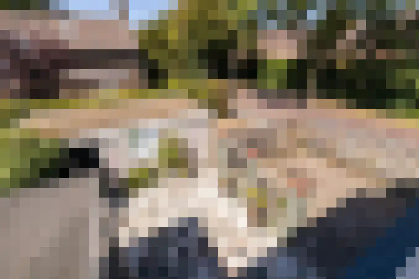 Muskaatstraat 2 Naaldwijk thumbnail 30