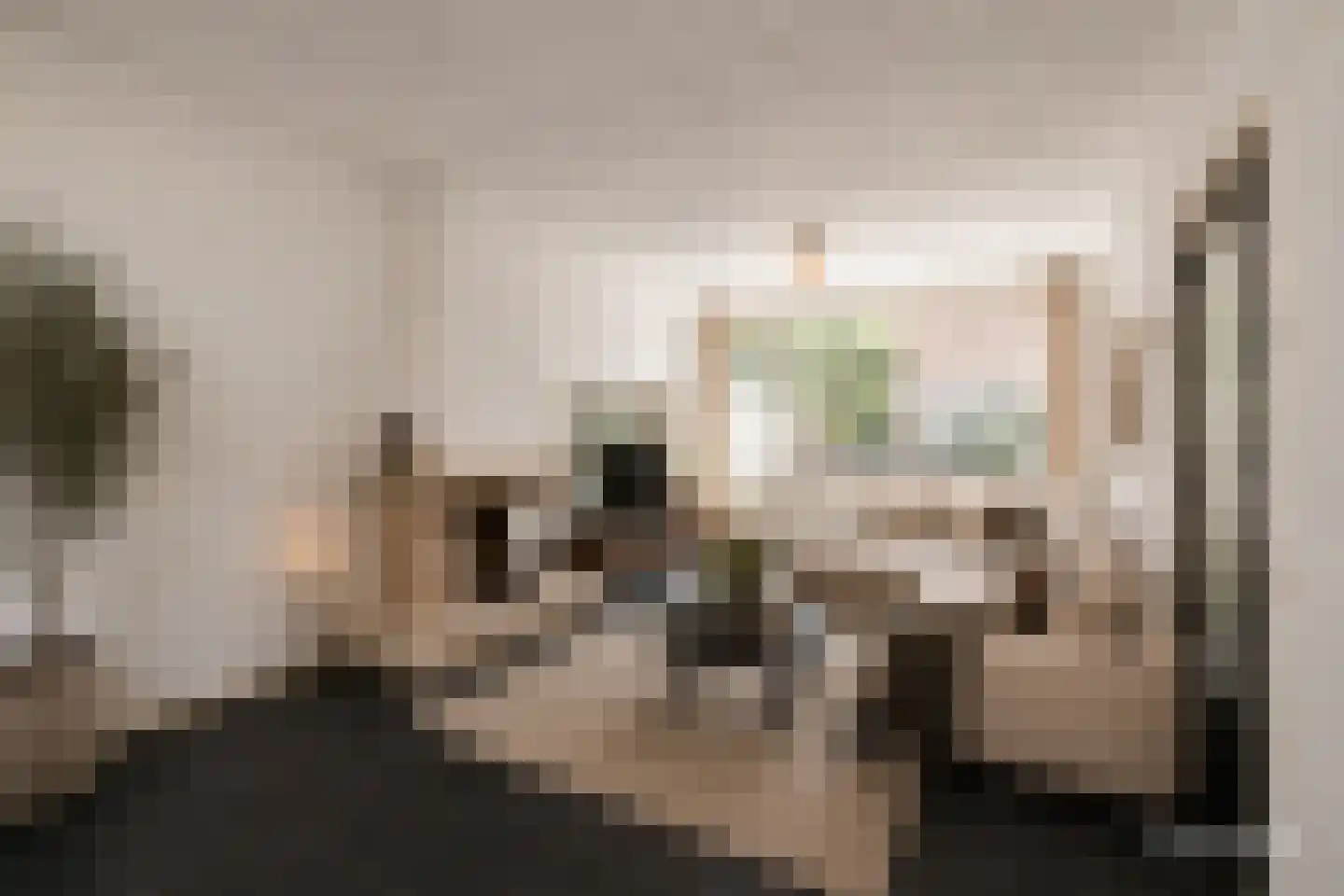 Muskaatstraat 2 Naaldwijk thumbnail 4