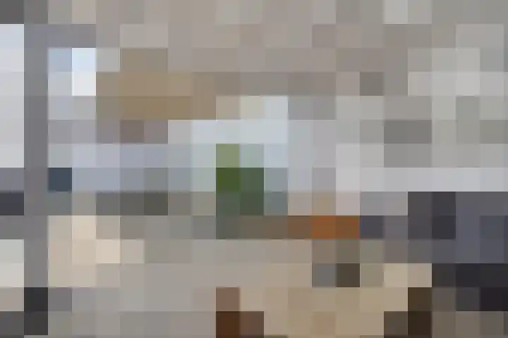 Muskaatstraat 7 Naaldwijk thumbnail 17