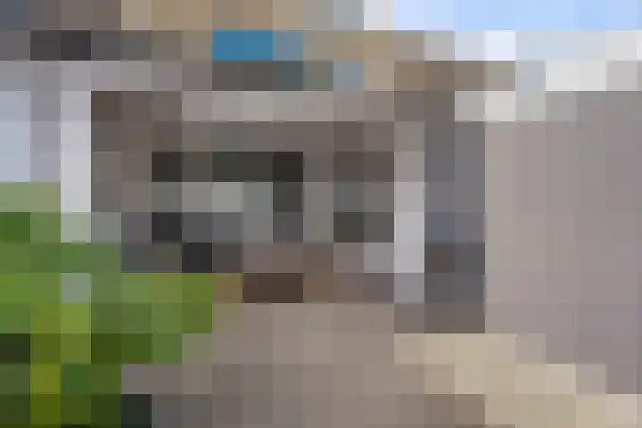 Muskaatstraat 7 Naaldwijk thumbnail 24