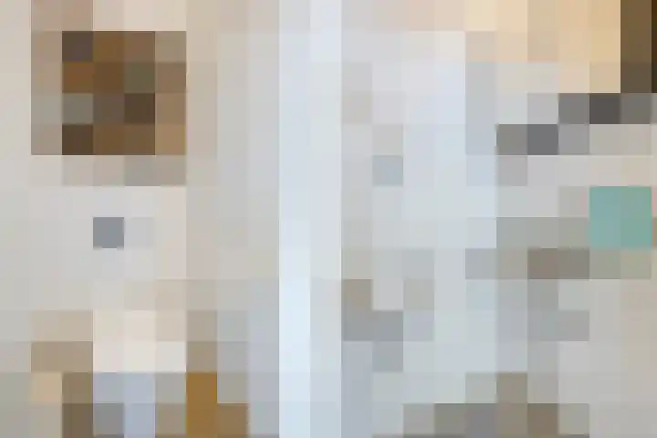 Muskaatstraat 7 Naaldwijk thumbnail 25